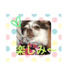 ゆいののほほん毎日2（個別スタンプ：4）