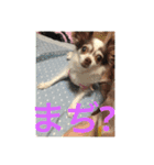 ゆいののほほん毎日2（個別スタンプ：7）