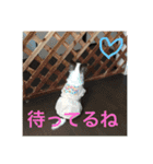 ゆいののほほん毎日2（個別スタンプ：8）