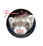村上家のペット（個別スタンプ：5）