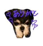 らぶいアンジェリー（個別スタンプ：2）