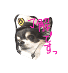 らぶいアンジェリー（個別スタンプ：6）