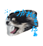 らぶいアンジェリー（個別スタンプ：8）