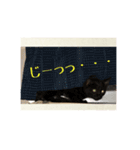 黒猫のジジたん（個別スタンプ：10）