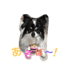 ビビスタンプ！！（個別スタンプ：8）
