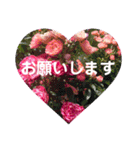 yoshie stamp挨拶（個別スタンプ：9）