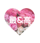 yoshie stamp挨拶（個別スタンプ：11）