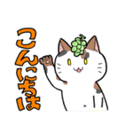 りんごねこと愉快な仲間たち～挨拶編～（個別スタンプ：13）