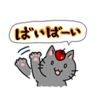 りんごねこと愉快な仲間たち～挨拶編～（個別スタンプ：29）