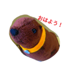 ラッカセイの1日（個別スタンプ：1）