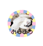 マロやで（個別スタンプ：4）