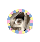 マロやで（個別スタンプ：6）