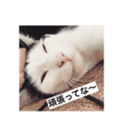 マロやで（個別スタンプ：12）