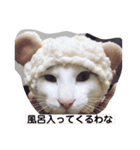 マロやで（個別スタンプ：13）