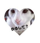 マロやで（個別スタンプ：15）