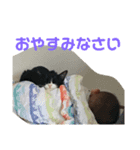 仲良し？長にゃん、次にゃん、三男スタンプ（個別スタンプ：3）