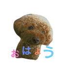 ワンコのfamily（個別スタンプ：2）