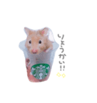 はむはむずー！！！（個別スタンプ：2）