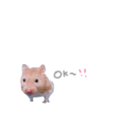 はむはむずー！！！（個別スタンプ：13）