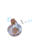 はむはむずー！！！（個別スタンプ：14）