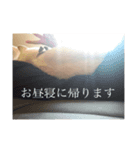 パオだらけ（個別スタンプ：1）