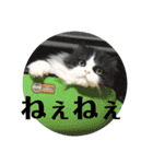 風彩 健（個別スタンプ：14）
