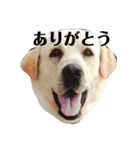 風彩 健（個別スタンプ：18）