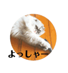 風彩 健（個別スタンプ：35）
