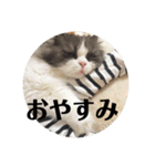 風彩 健（個別スタンプ：37）