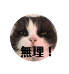 風彩 健（個別スタンプ：38）