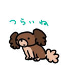 わんわんわんDOG2（個別スタンプ：19）