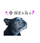 クロスケのふがふがスタンプ 4（個別スタンプ：5）