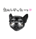 クロスケのふがふがスタンプ 4（個別スタンプ：9）