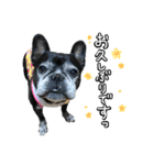 クロスケのふがふがスタンプ 4（個別スタンプ：12）