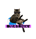 猫のマリー（個別スタンプ：5）