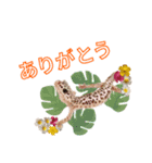 ヒョウモントカゲモドキ ハワイアン 夏（個別スタンプ：4）