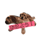 いちかちゃんとTwins dog その1（個別スタンプ：13）