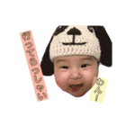 いちかちゃんとTwins dog その1（個別スタンプ：24）