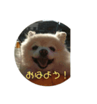 きなこワールド（個別スタンプ：3）