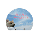 きなこワールド（個別スタンプ：7）