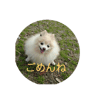 きなこワールド（個別スタンプ：15）