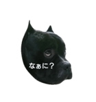 アメリカンブリーな男の子（個別スタンプ：2）