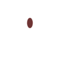 DynamicExpression（個別スタンプ：14）