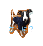 イタグレみるくのスタンプ（個別スタンプ：6）