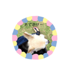 ワンコウエルカム（個別スタンプ：6）