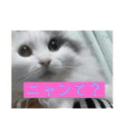 ちびーず(1)（個別スタンプ：14）