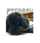 モフモフのROY   part2（個別スタンプ：2）