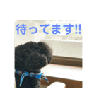 モフモフのROY   part2（個別スタンプ：8）
