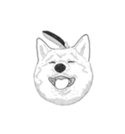 不思議なアボリジニーの犬（個別スタンプ：1）