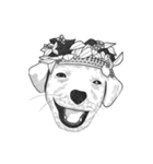 不思議なアボリジニーの犬（個別スタンプ：6）